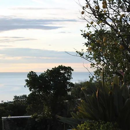 Cap Bleu Cavalaire-sur-Mer