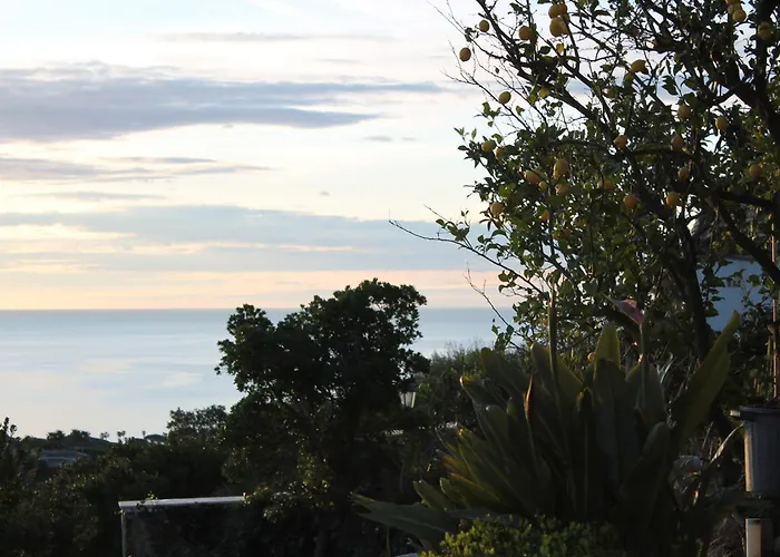 Cap Bleu Cavalaire-sur-Mer